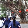 zhi_ying