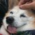 屁熊