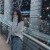 Ziling