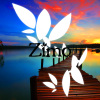 Zimo