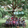 savalivali
