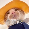 暖气赵
