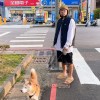 毛A