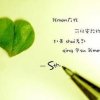 风筝与风89