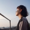 zwl的大无畏