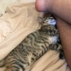顧