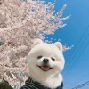 zyun