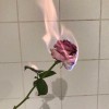 程真
