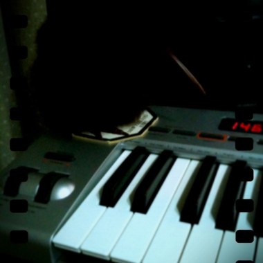 忘了DEMO