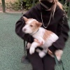 塘沽分区玫瑰