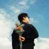 dead rose