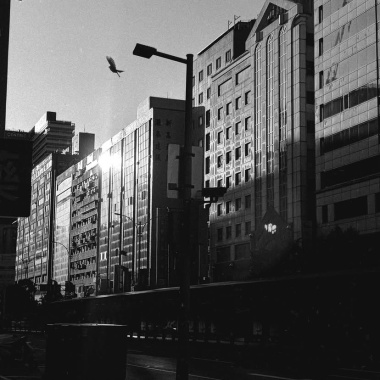 有一天 - demo