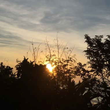 斑馬 , 斑馬（Cover）