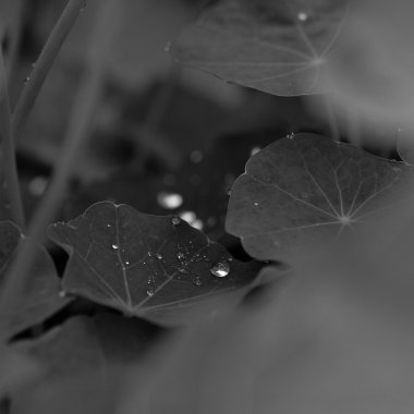 105 - 對昨天說再見