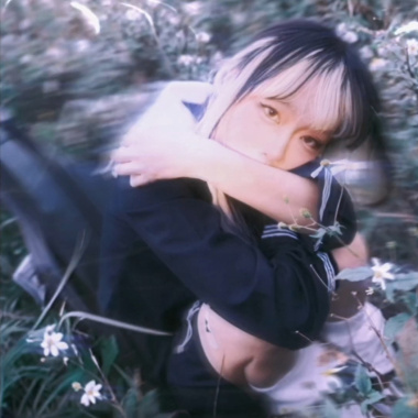 對不起把你埋葬在海邊的紫色花海