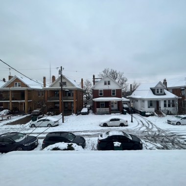 因為下雪天的回憶太多了（雙木林專場Live）