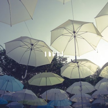 我的台北沒有下雨
