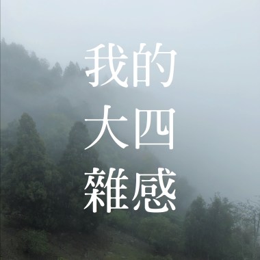 我的大四雜感