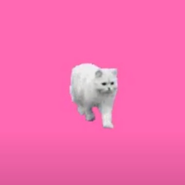 十四 (demo)