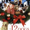 The 12 Dogs of Christma