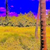 SUNTINO ORIGINAL | EDM2012 | Progressive House (Demo)