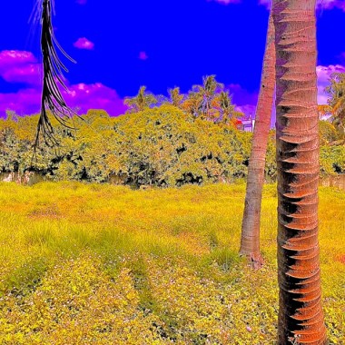 SUNTINO ORIGINAL | EDM2012 | Progressive House (Demo)