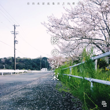 你的承諾就像四月的櫻花