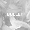 Bullet