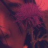 张三弥 - 笑我
