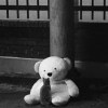 我的愛 (Demo)