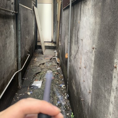 我喝醉的靈魂比世上所有枯竭的聖誕樹都還傷心