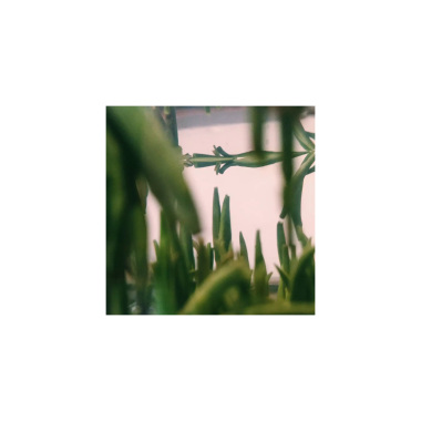春水煎茶[prod.by GZ]
