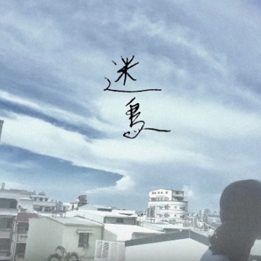 迷鳥