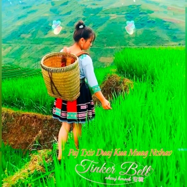 Paj Txiv Duaj Kua Muag Ntshav ( 桃花眼泪血）纯音版
