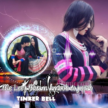 Me Leej Muam hmoob toj siab（mix）