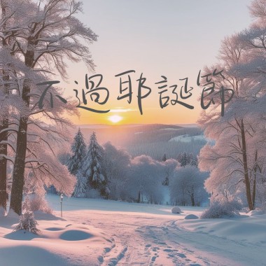 不過耶誕節