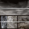 美与欢愉有不同时（Swallow the Pity）
