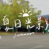 夏日光影