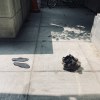 登出之前(demo)