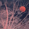 blue moon