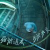 死於過去 生於未來