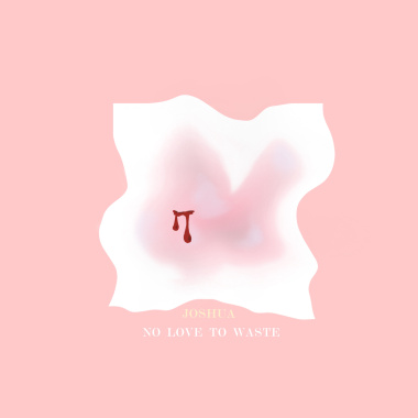 没有爱可以浪费了（No Love To Waste）