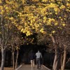 此心安處