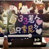 閃閃惹人愛