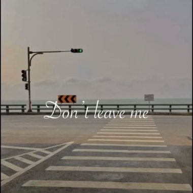 Dont leave me 別離開(demo)