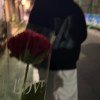 Suicidal love