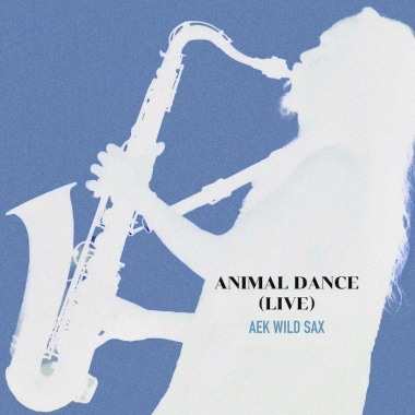 Animal Dance (DEMO)