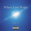 Where Love Waits