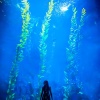 Breath Again