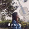 還給我D弦
